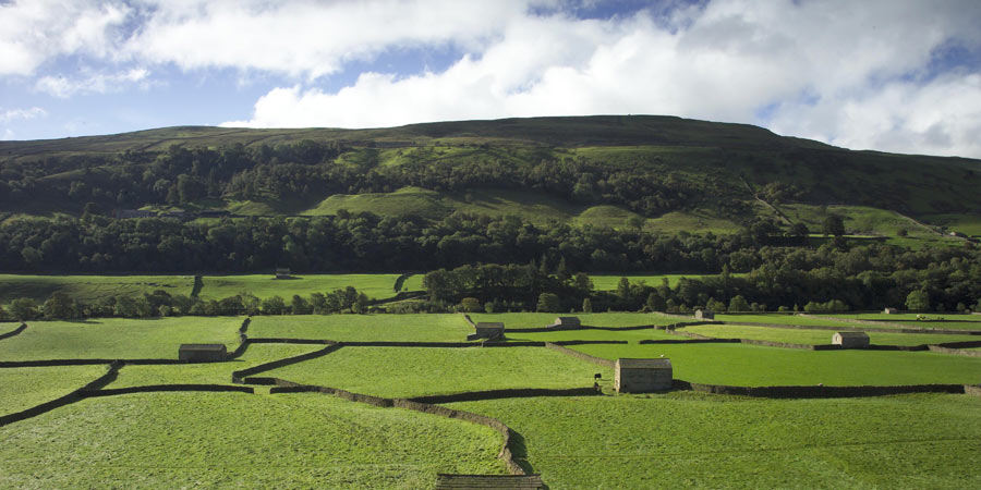 Yorkshire Dales