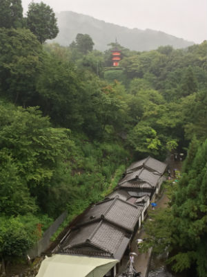 Philosophers Walk Kyoto 300